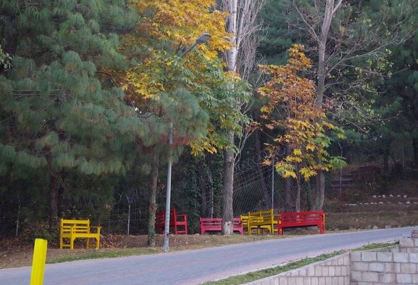 هتل Chinar Family Resort