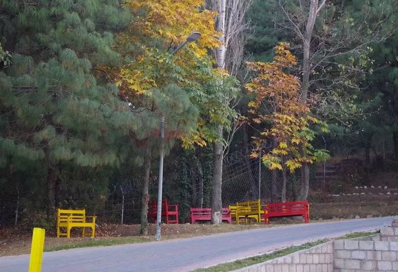 هتل Chinar Family Resort