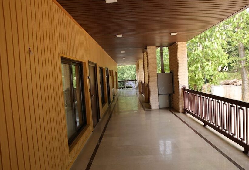 هتل Chinar Family Resort