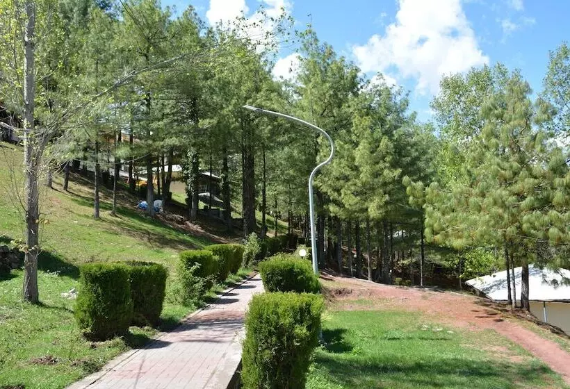 هتل Chinar Family Resort