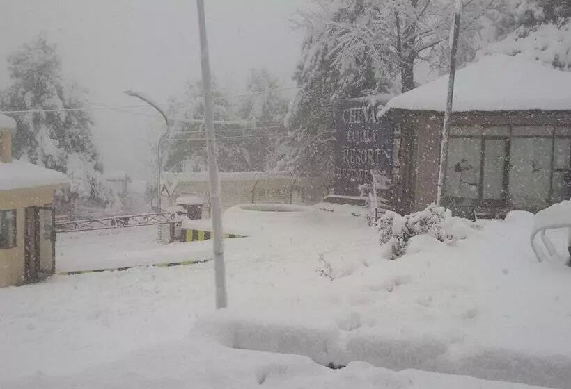 هتل Chinar Family Resort