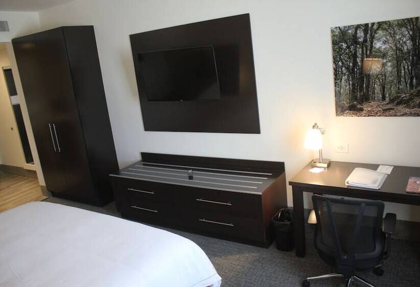 ホテル Holiday Inn Express & Suites Silao Aeropuerto Terminal, An Ihg