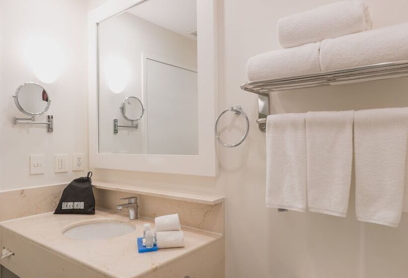 ホテル Holiday Inn Express & Suites Silao Aeropuerto Terminal, An Ihg