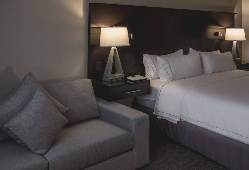 ホテル Holiday Inn Express & Suites Silao Aeropuerto Terminal, An Ihg