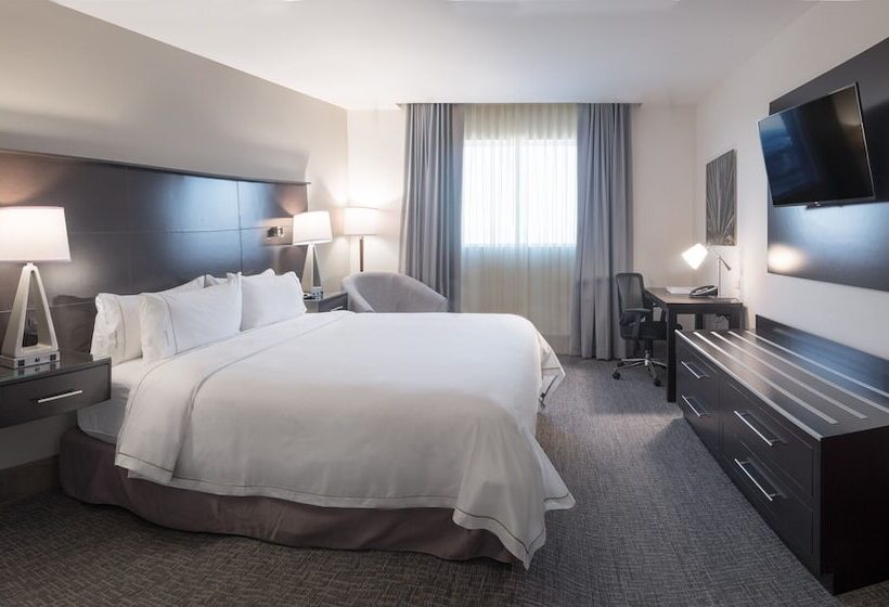 ホテル Holiday Inn Express & Suites Silao Aeropuerto Terminal, An Ihg