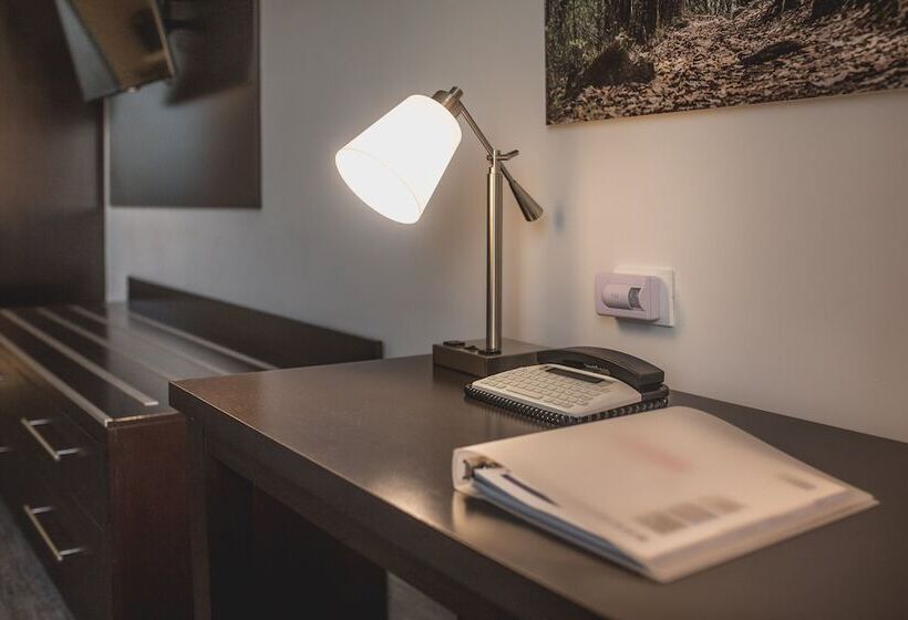 ホテル Holiday Inn Express & Suites Silao Aeropuerto Terminal, An Ihg