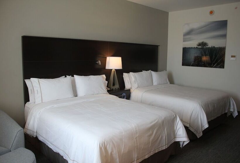 ホテル Holiday Inn Express & Suites Silao Aeropuerto Terminal, An Ihg