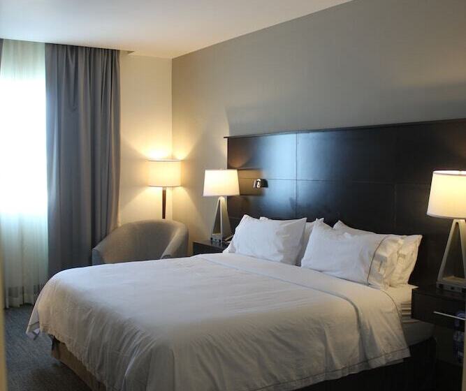 ホテル Holiday Inn Express & Suites Silao Aeropuerto Terminal, An Ihg