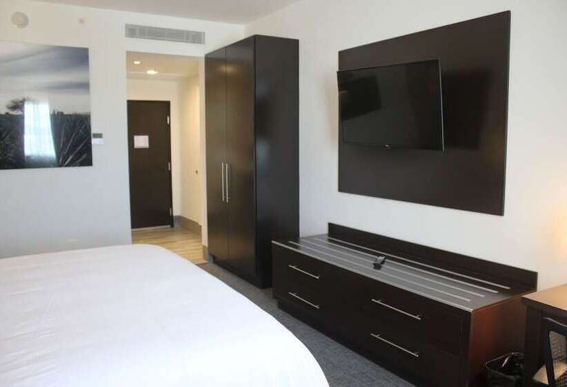 ホテル Holiday Inn Express & Suites Silao Aeropuerto Terminal, An Ihg