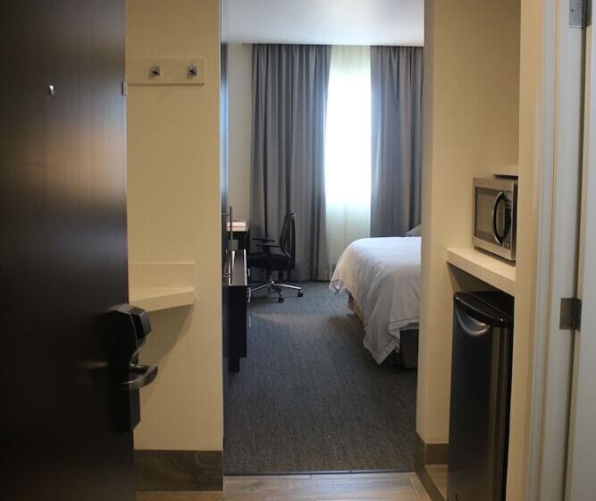 ホテル Holiday Inn Express & Suites Silao Aeropuerto Terminal, An Ihg