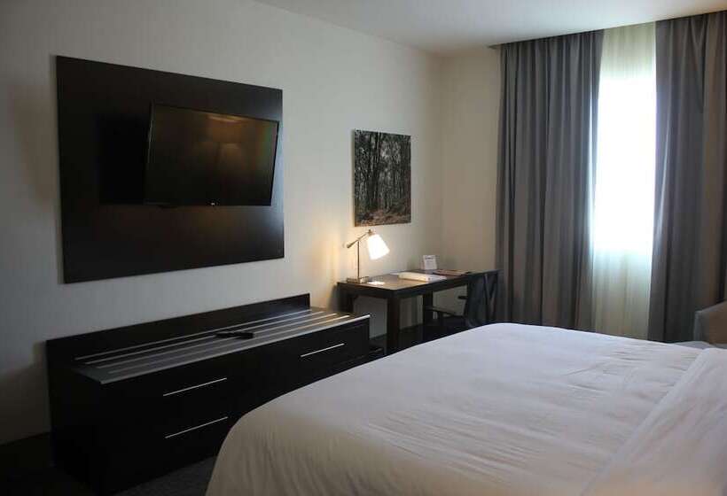 ホテル Holiday Inn Express & Suites Silao Aeropuerto Terminal, An Ihg