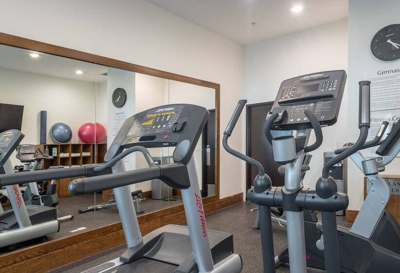 ホテル Holiday Inn Express & Suites Silao Aeropuerto Terminal, An Ihg