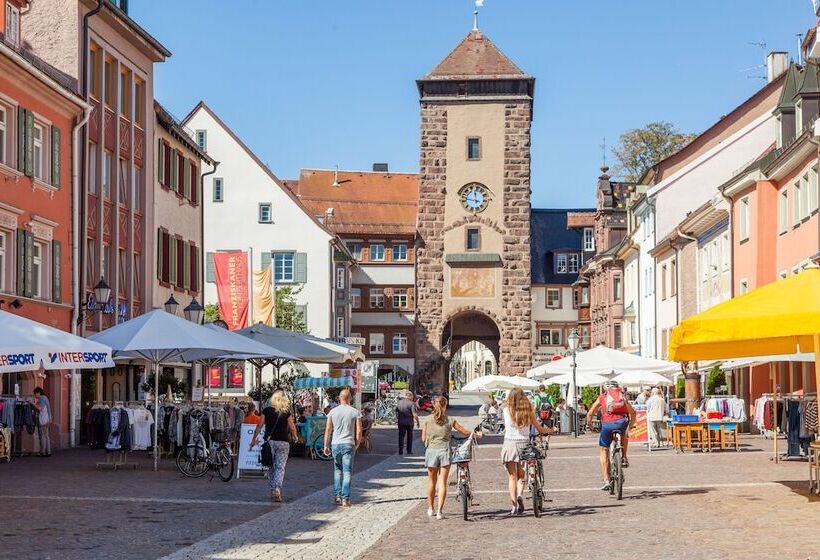 בית מלון כפרי Holiday Inn   Villingen   Schwenningen, An Ihg