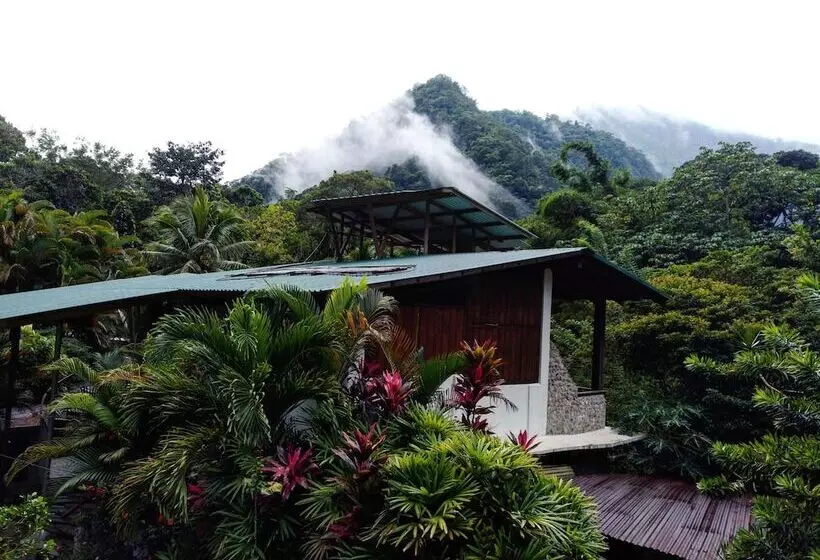 هتل Omega Tours Eco Jungle Lodge