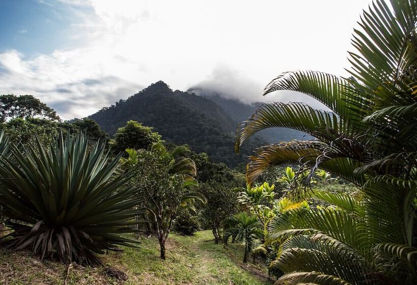 هتل Omega Tours Eco Jungle Lodge