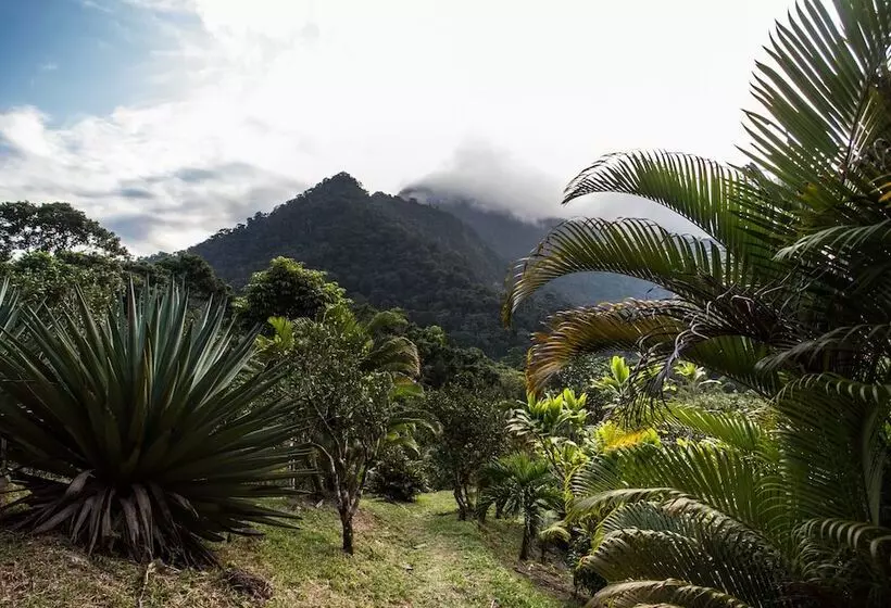 هتل Omega Tours Eco Jungle Lodge