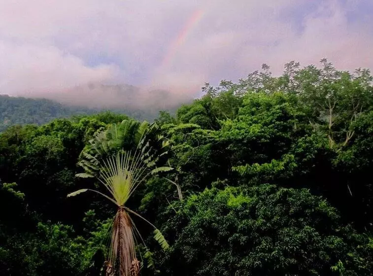 هتل Omega Tours Eco Jungle Lodge