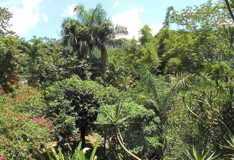 هتل Omega Tours Eco Jungle Lodge