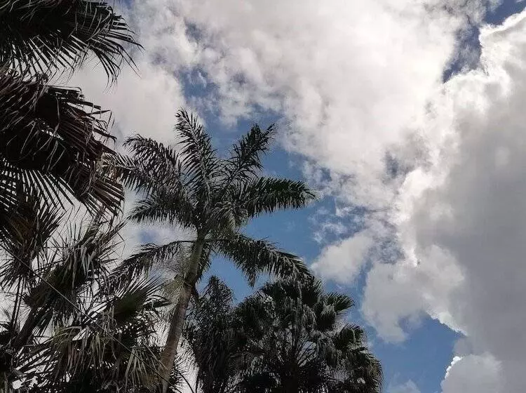 هتل Omega Tours Eco Jungle Lodge