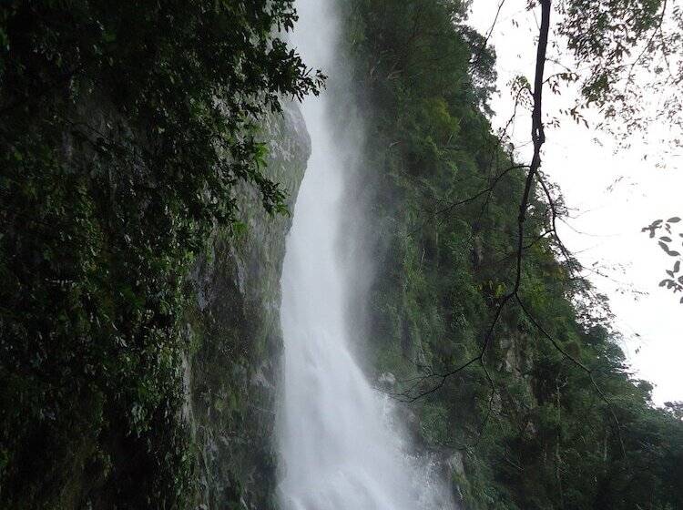 هتل Omega Tours Eco Jungle Lodge