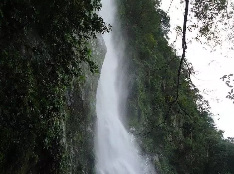 هتل Omega Tours Eco Jungle Lodge