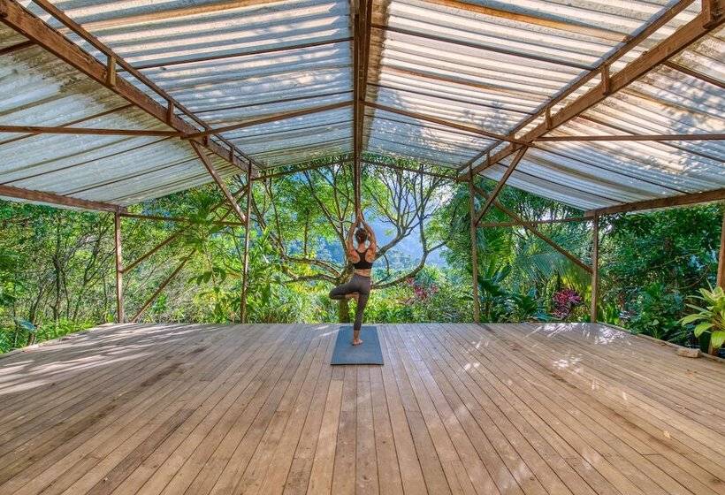 هتل Omega Tours Eco Jungle Lodge