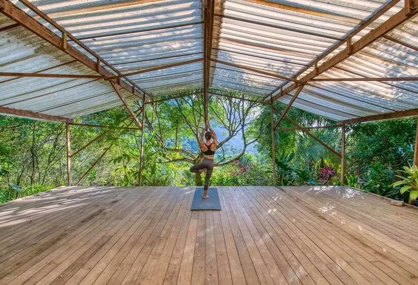 هتل Omega Tours Eco Jungle Lodge