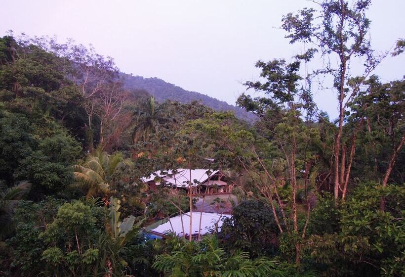 هتل Omega Tours Eco Jungle Lodge