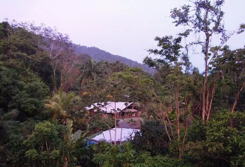 هتل Omega Tours Eco Jungle Lodge