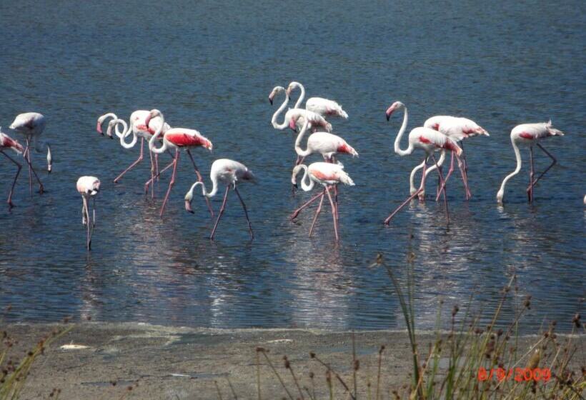 호텔 Villaggio Camping Torre Salinas