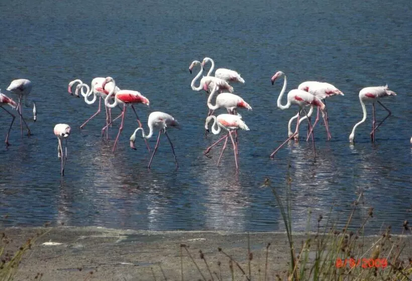 Hotelli Villaggio Camping Torre Salinas