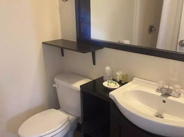 Motelli The Montrose