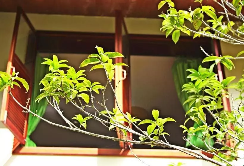 Majatalo Xishuangbanna Elephant Home Guesthouse