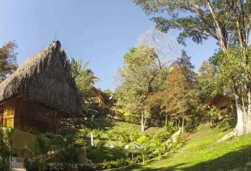 Samara Paraiso