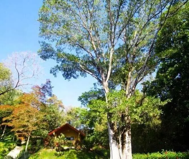 Samara Paraiso