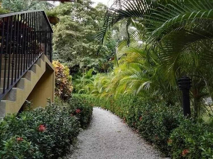 Samara Paraiso
