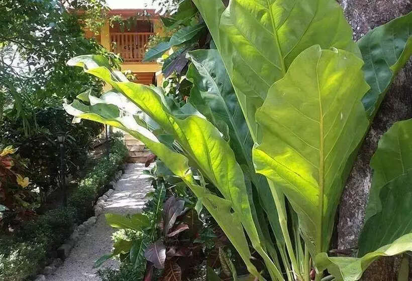Samara Paraiso