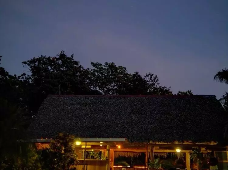 Samara Paraiso