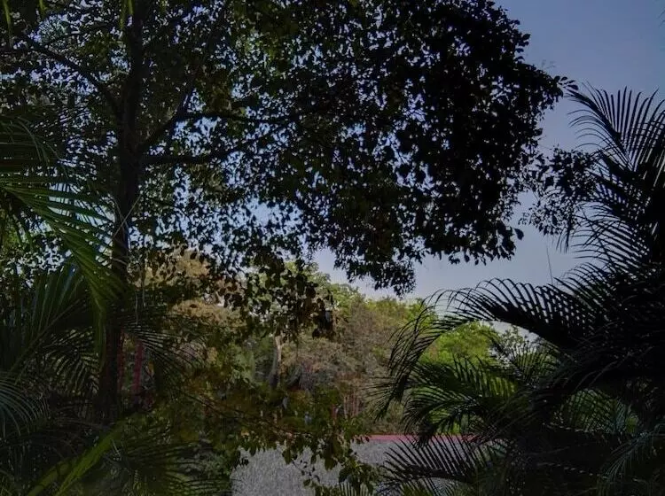 Samara Paraiso