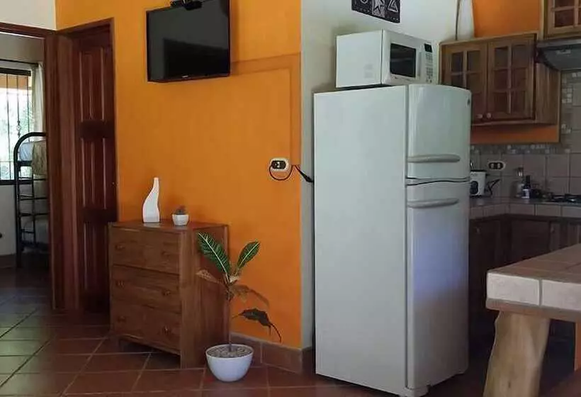 Samara Paraiso