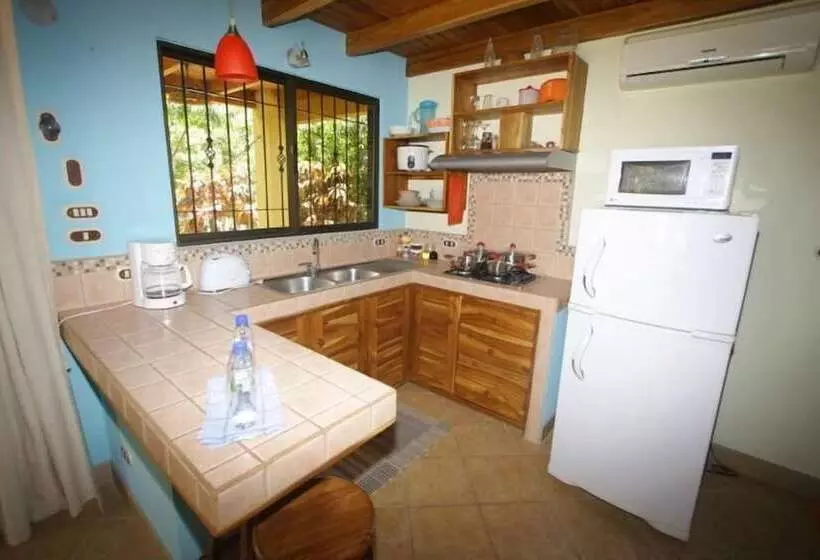 Samara Paraiso