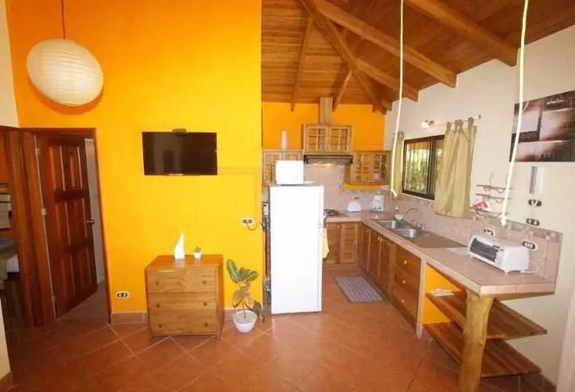 Samara Paraiso
