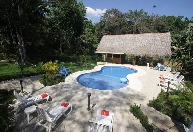 Samara Paraiso