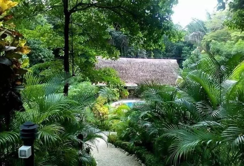 Samara Paraiso