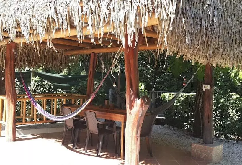 Samara Paraiso
