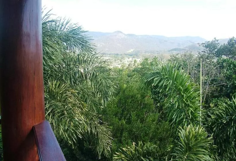 The Summit Bed & Breakfast