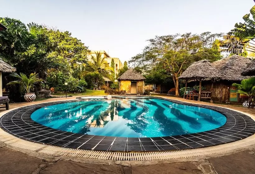 هاستل Diani Backpackers  Adults Only