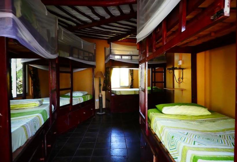 هاستل Diani Backpackers Adults Only