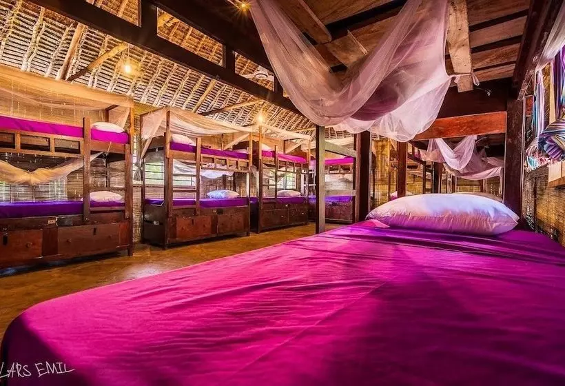 هاستل Diani Backpackers  Adults Only