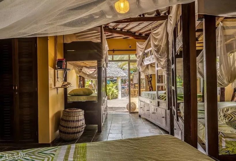 هاستل Diani Backpackers  Adults Only